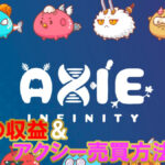 【Axie Infinity】アクシーインフィニティ半年やってみた収益を完全公開＋アクシー売買方法の解説